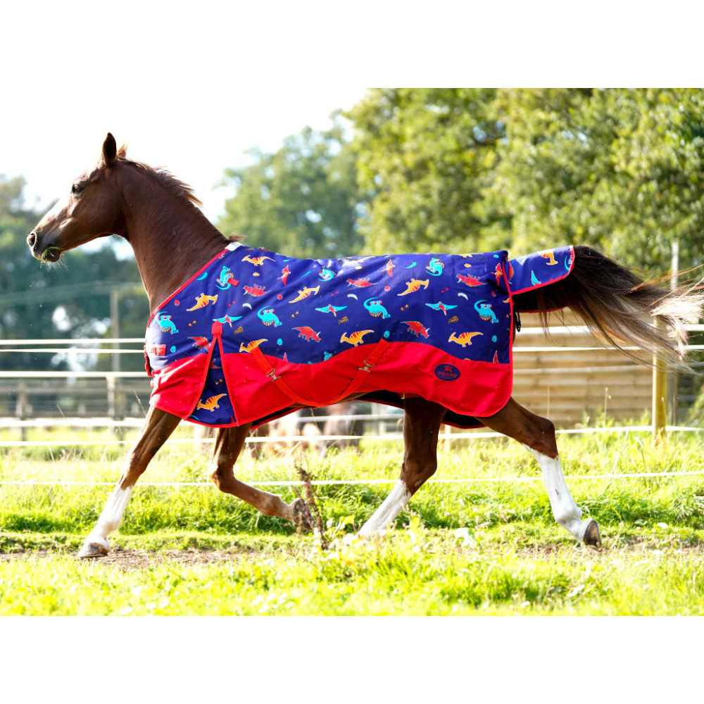 Derka Padokowa Dinos Ponyo