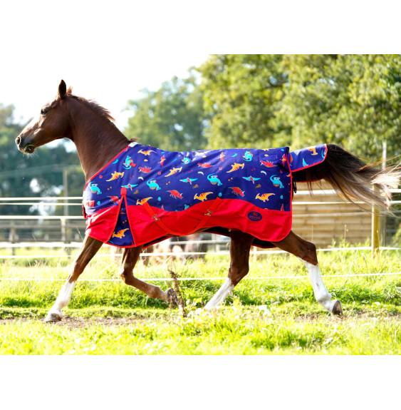 Derka Padokowa Dinos Ponyo