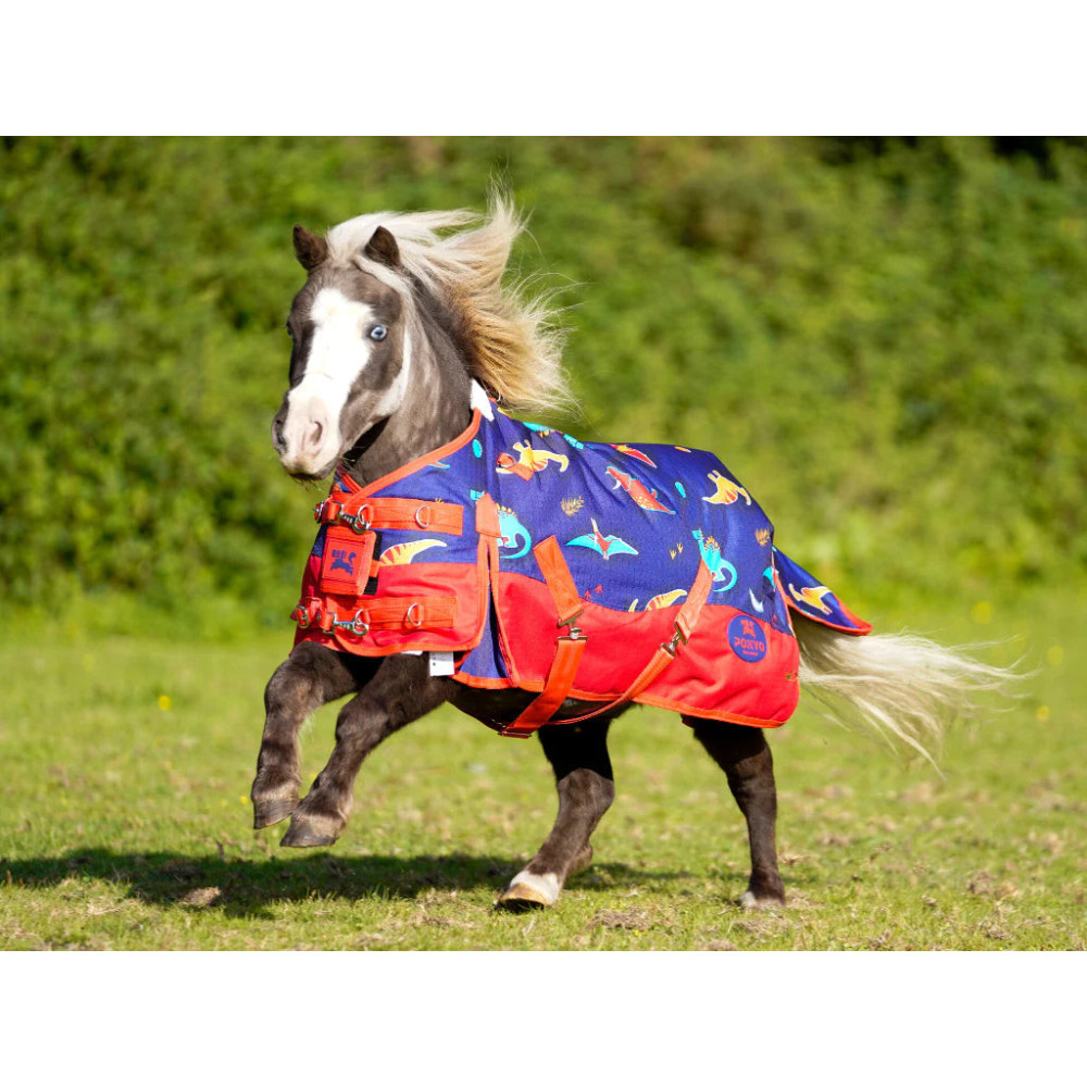 Derka Padokowa Dinos Ponyo