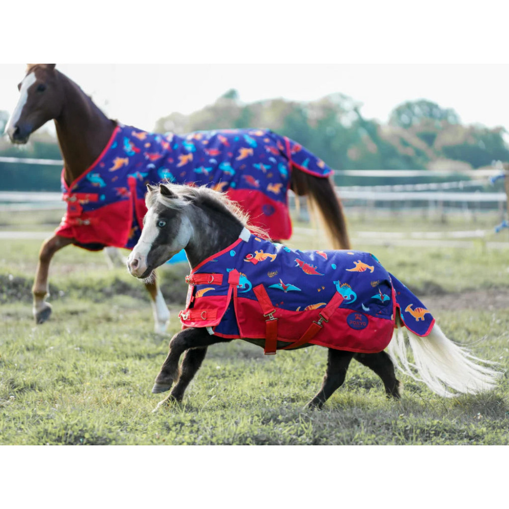 Derka Padokowa Dinos Ponyo