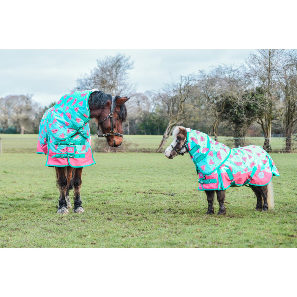 Derka Padokowa Watermelon 50g Ponyo