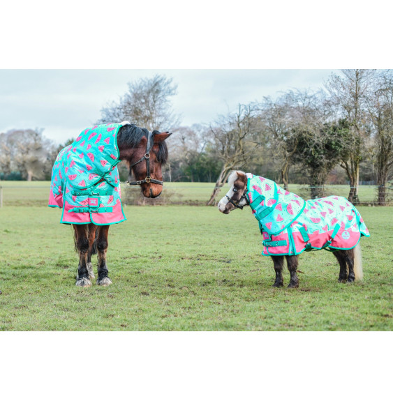 Derka Padokowa Watermelon 50g Ponyo