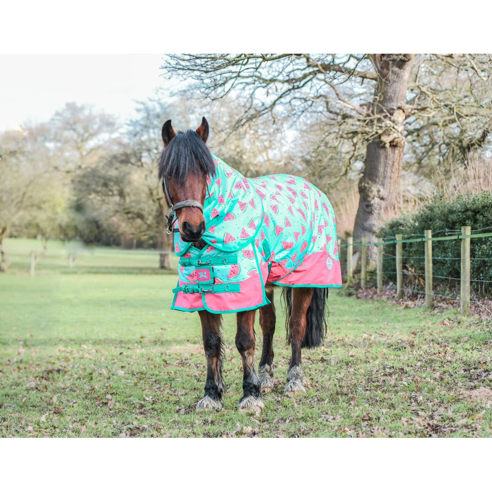 Derka Padokowa Watermelon 50g Ponyo