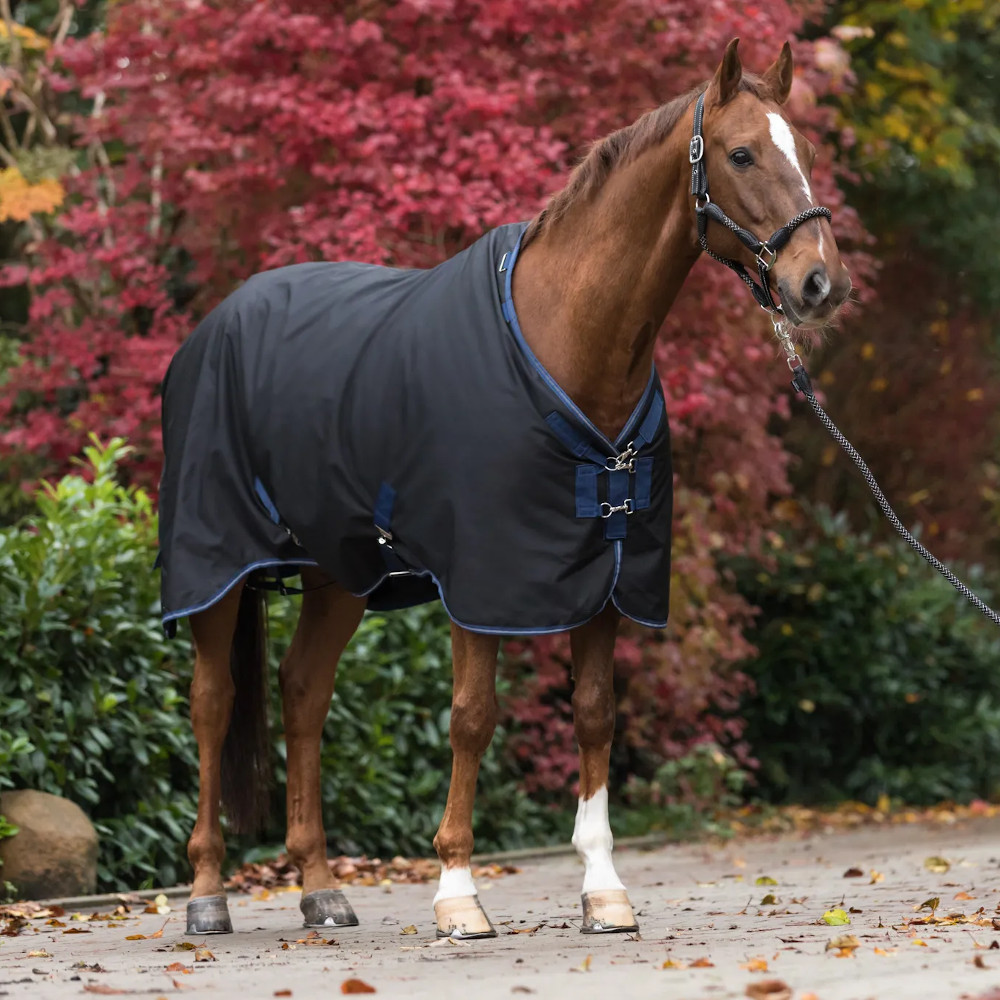 Derka Padokowa Oxford Equine Microtec