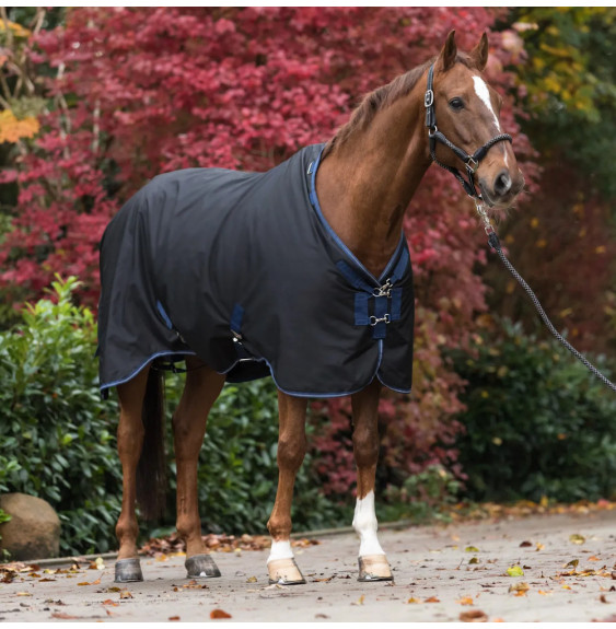 Derka Padokowa Oxford Equine Microtec