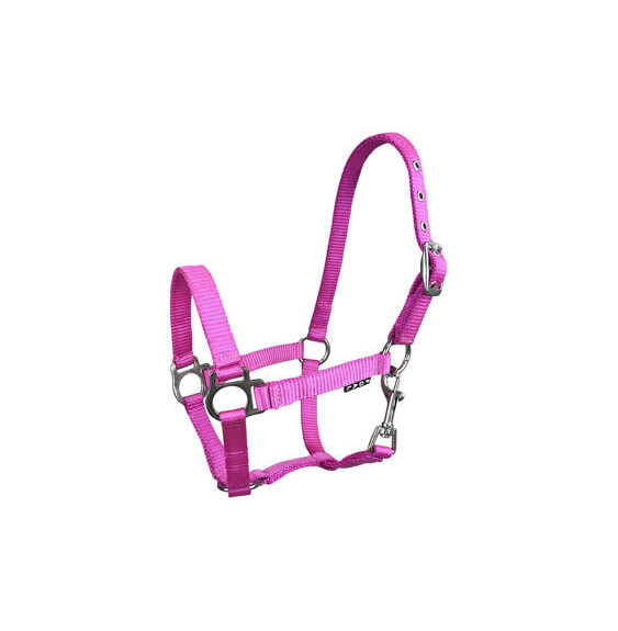 Kantar Źrebięcy York