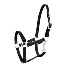 Kantar Źrebięcy York