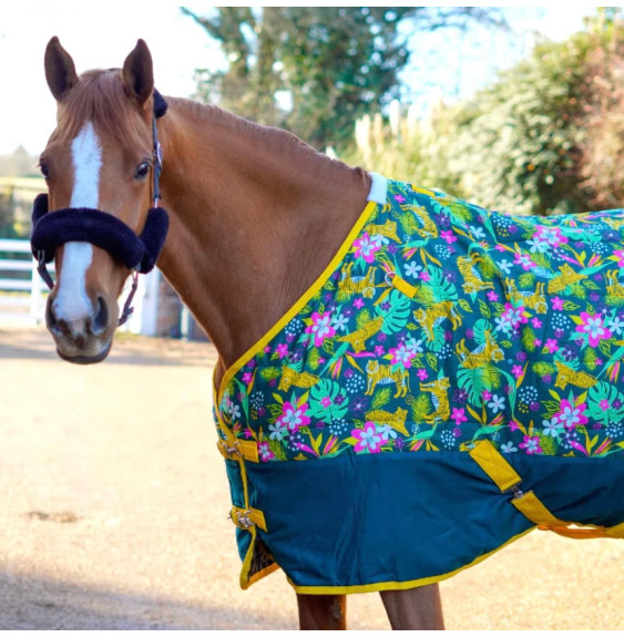 Derka Stajenna Tiger Ponyo