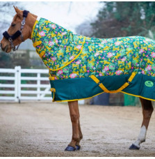 Derka Stajenna Tiger Ponyo