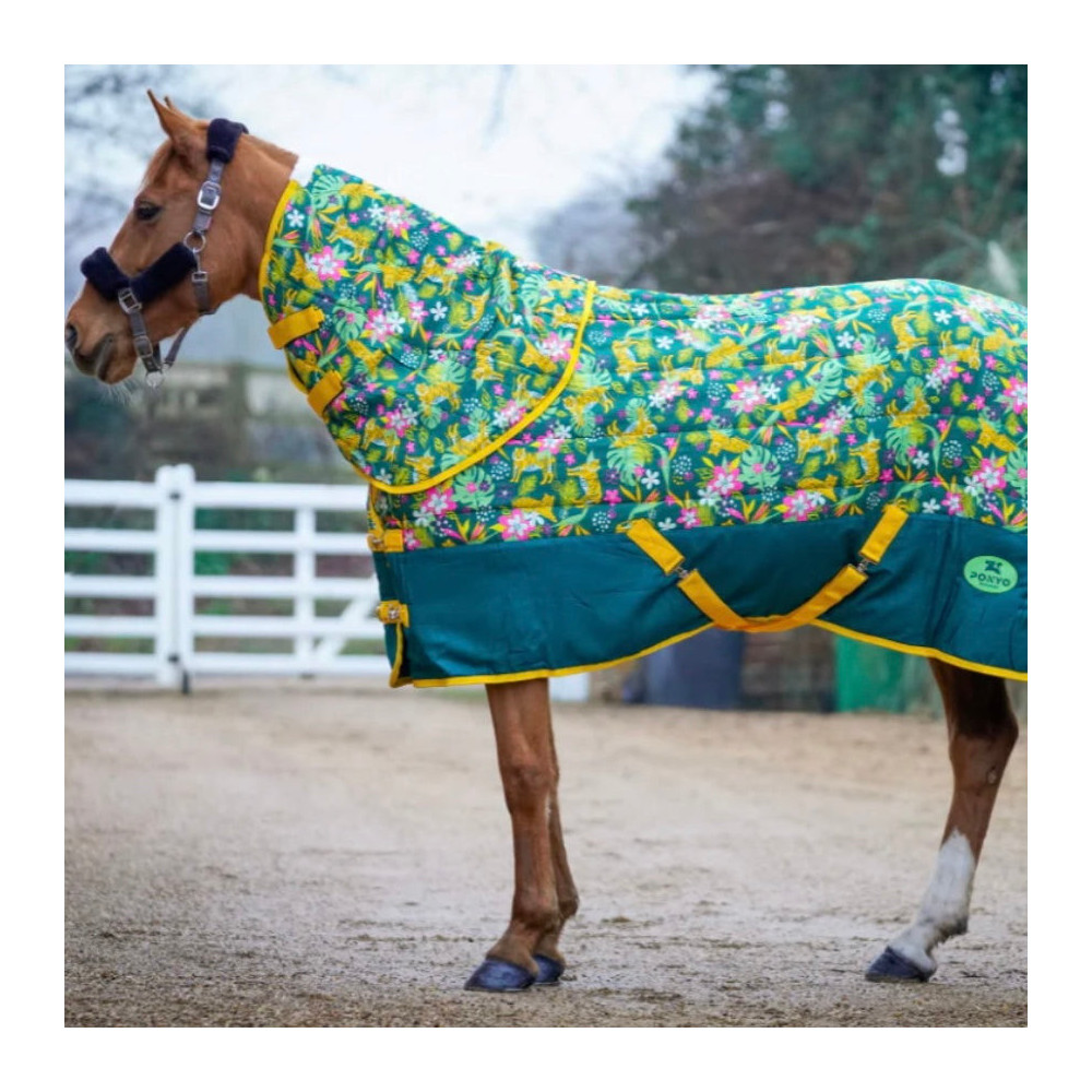 Derka Stajenna Tiger Ponyo