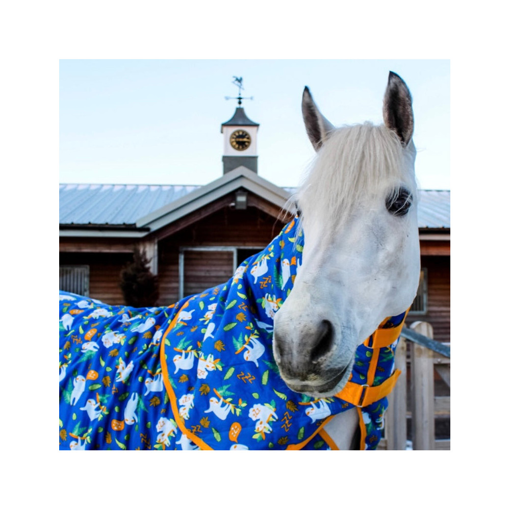 Derka Stajenna Sleepy Sloth Ponyo