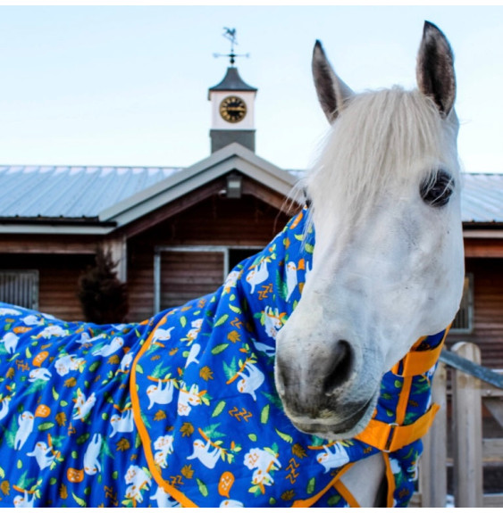 Derka Stajenna Sleepy Sloth Ponyo