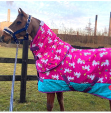 Derka Stajenna Pink Unicorns Ponyo