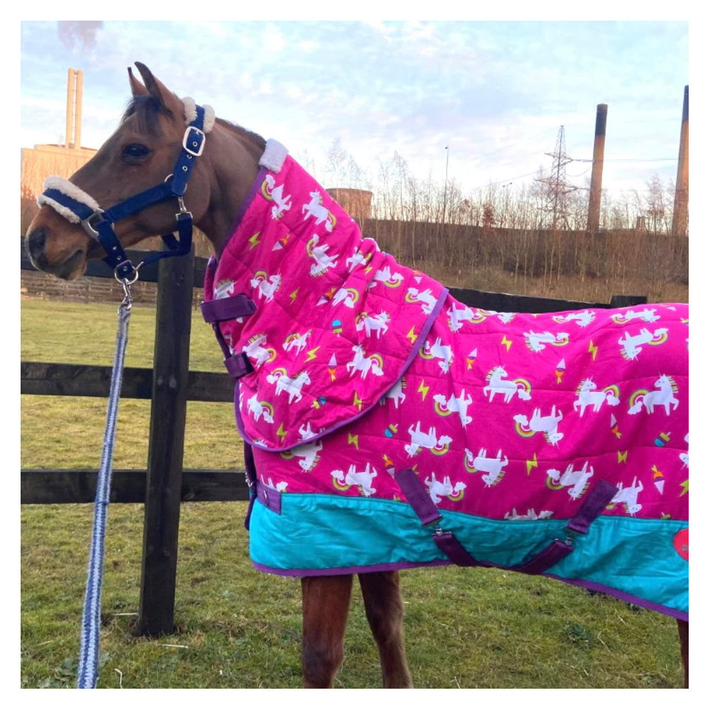 Derka Stajenna Pink Unicorns Ponyo