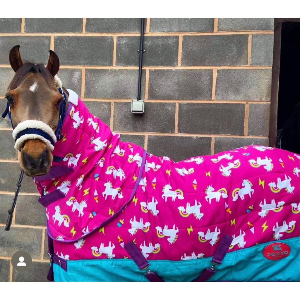 Derka Stajenna Pink Unicorns Ponyo