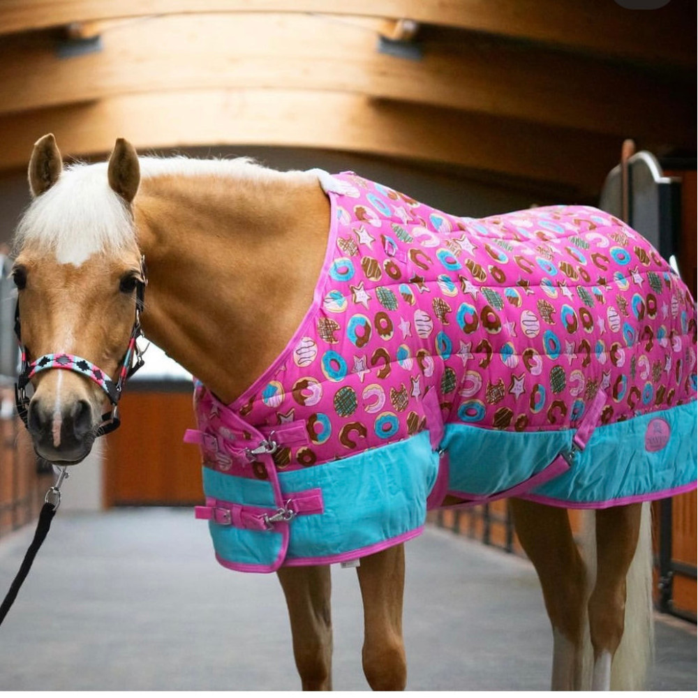 Derka Stajenna Doughnut Ponyo