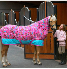 Derka Stajenna Doughnut Ponyo