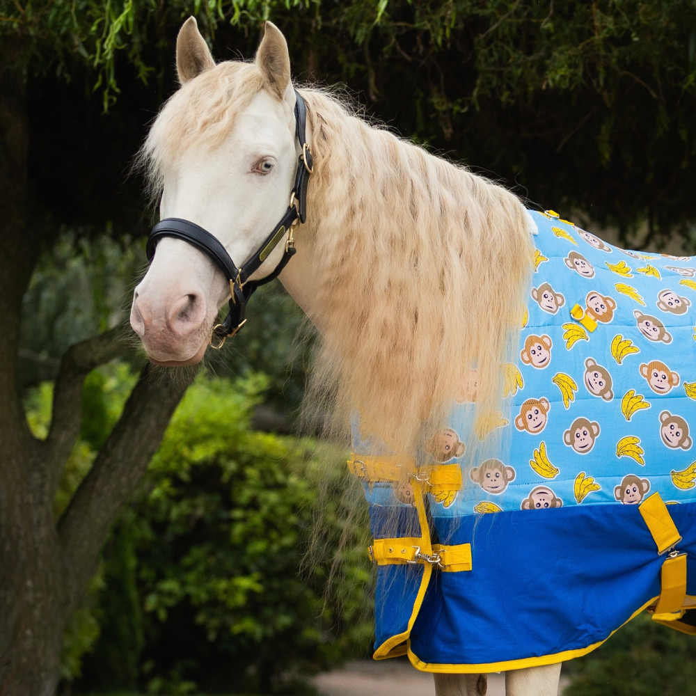 Derka Stajenna Monkey Bananas Ponyo