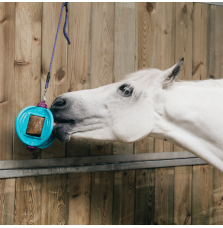 Zabawka Lizawka Dla Koni Bizzy Ball Likit