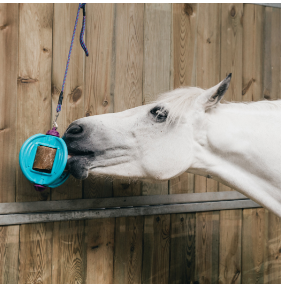 Zabawka Lizawka Dla Koni Bizzy Ball Likit