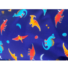 Derka Stajenna Dinos Ponyo