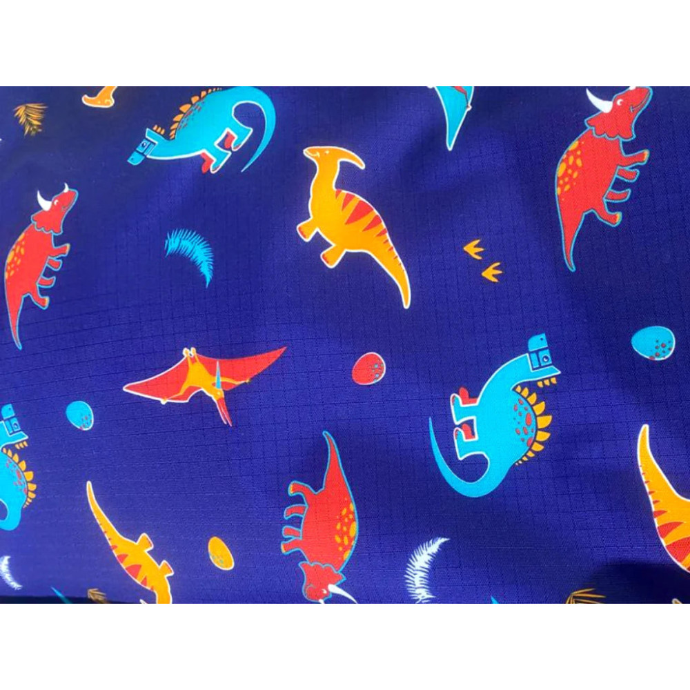 Derka Stajenna Dinos Ponyo