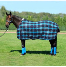 Derka Stajenna Colden York