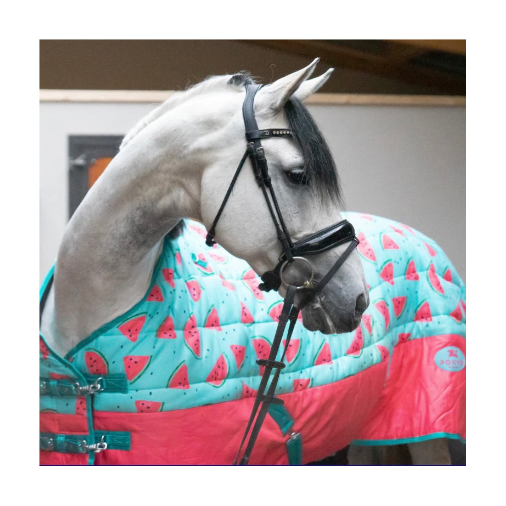 Derka Stajenna Watermelon Ponyo