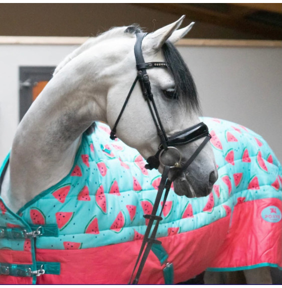 Derka Stajenna Watermelon Ponyo