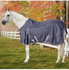 Derka Calista Rain York