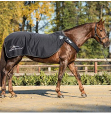 Derka do Karuzeli Keep Walking Equine Microtec