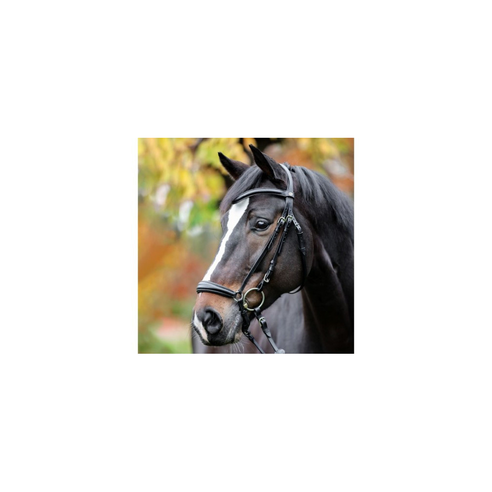 Ogłowie Proline Anna Kavalkade