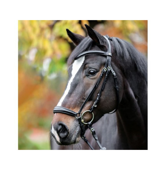 Ogłowie Proline Anna Kavalkade