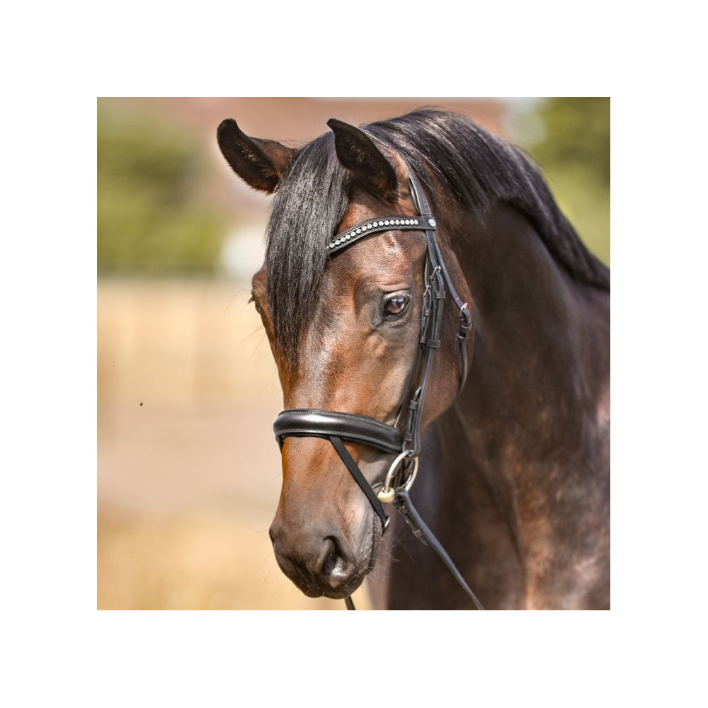 Ogłowie Diana Kavalkade