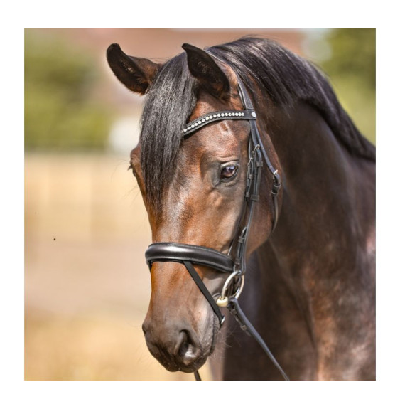 Ogłowie Diana Kavalkade