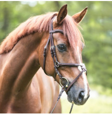 Ogłowie Z Nachrapnikiem Meksykańskim Everado Kavalkade