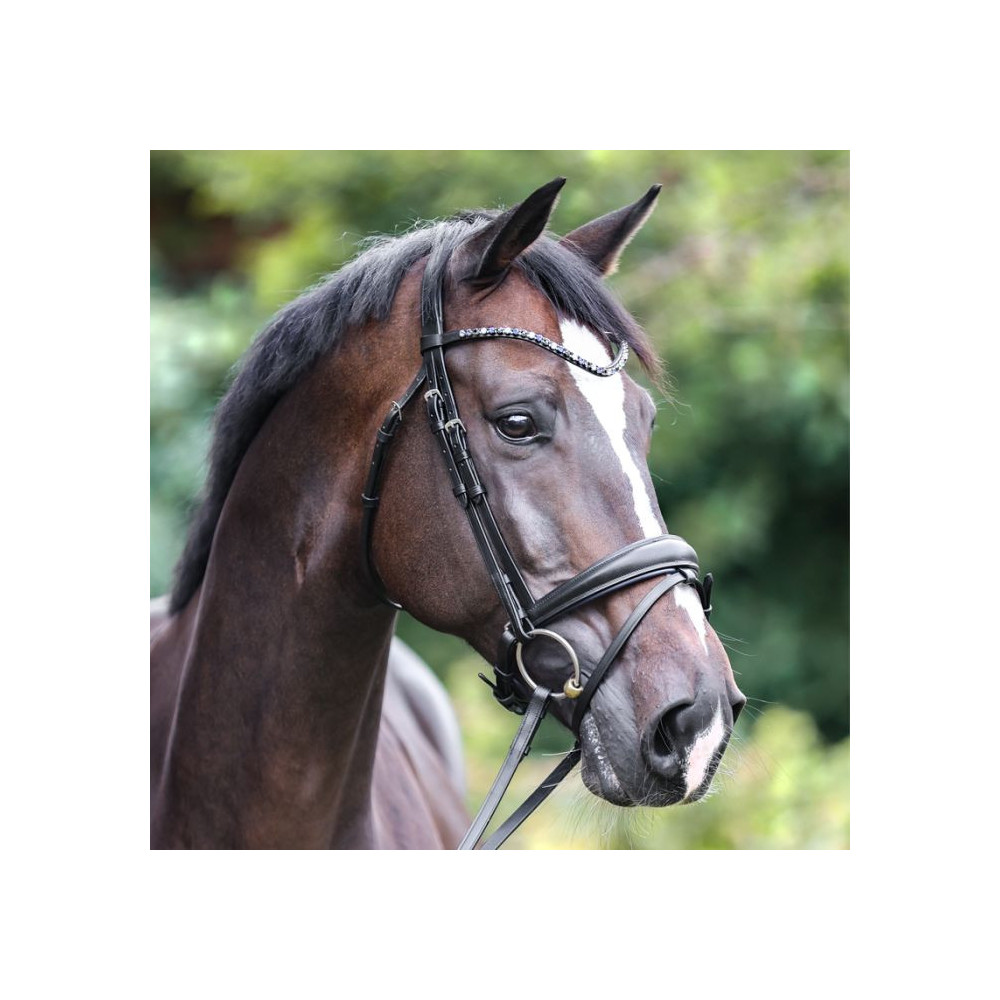 Ogłowie Ocean Kavalkade