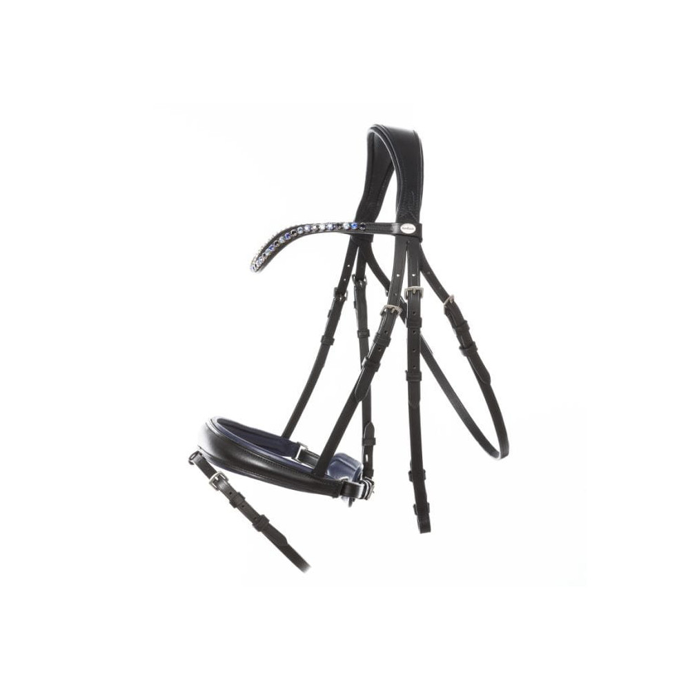 Ogłowie Ocean Kavalkade