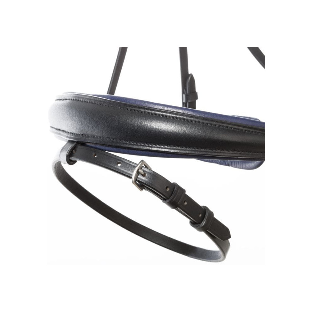 Ogłowie Ocean Kavalkade