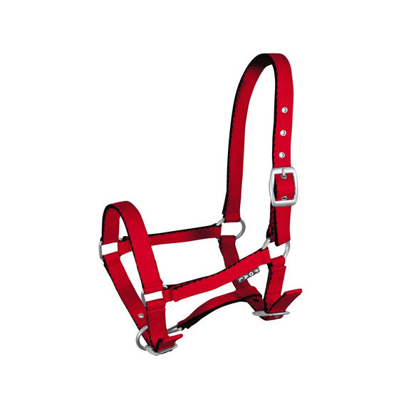 Kantar Źrebięcy Tobi York