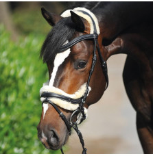 Ogłowie Anatomiczne Ivy Kavalkade