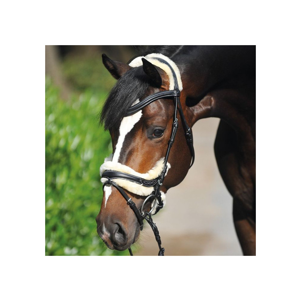 Ogłowie Anatomiczne Ivy Kavalkade