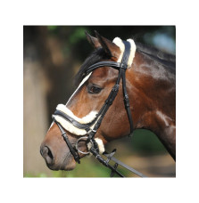 Ogłowie Anatomiczne Ivy Kavalkade