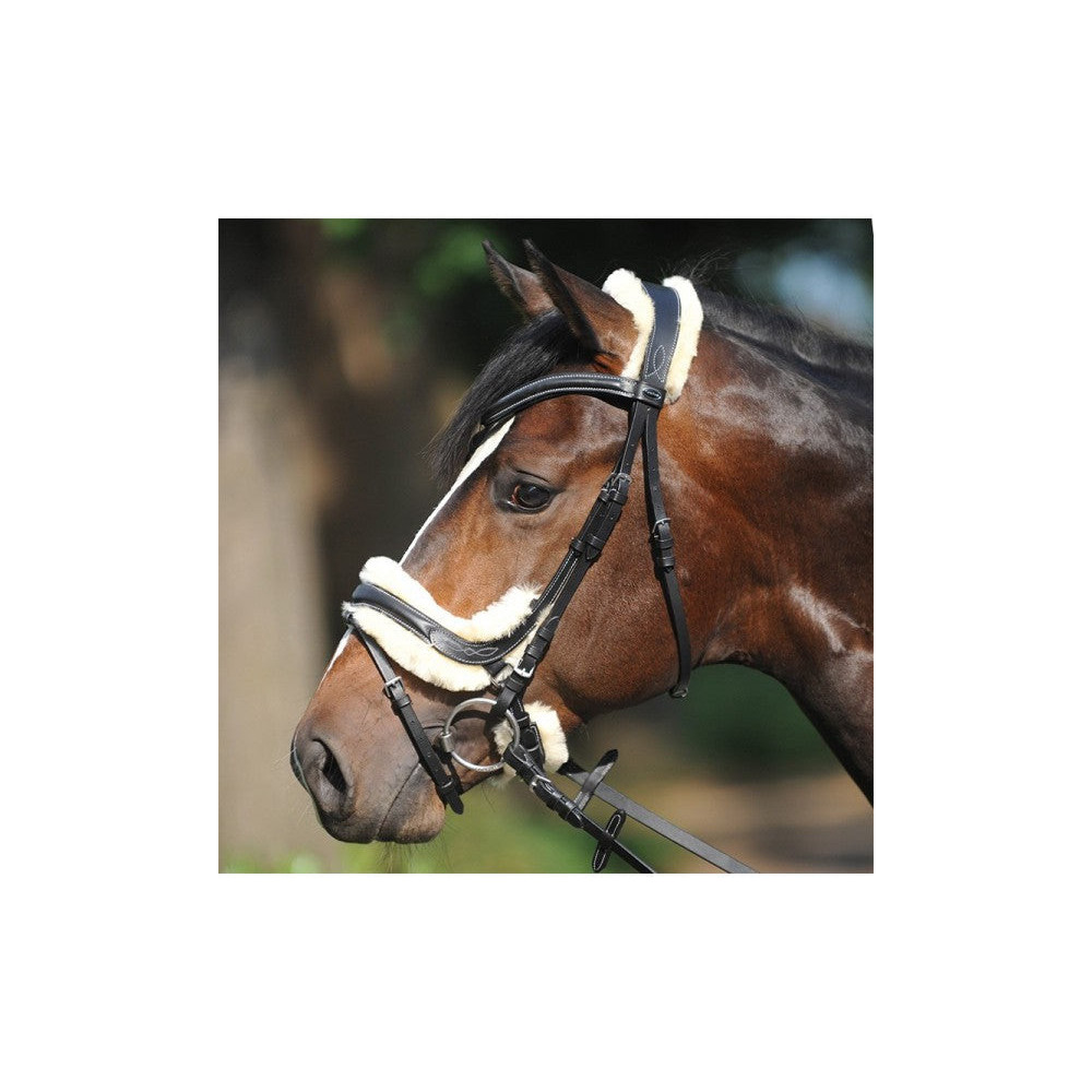 Ogłowie Anatomiczne Ivy Kavalkade