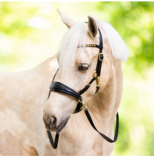 Ogłowie Bezwędzidłowe Sidepull LouLou Czarne FR Equestrian