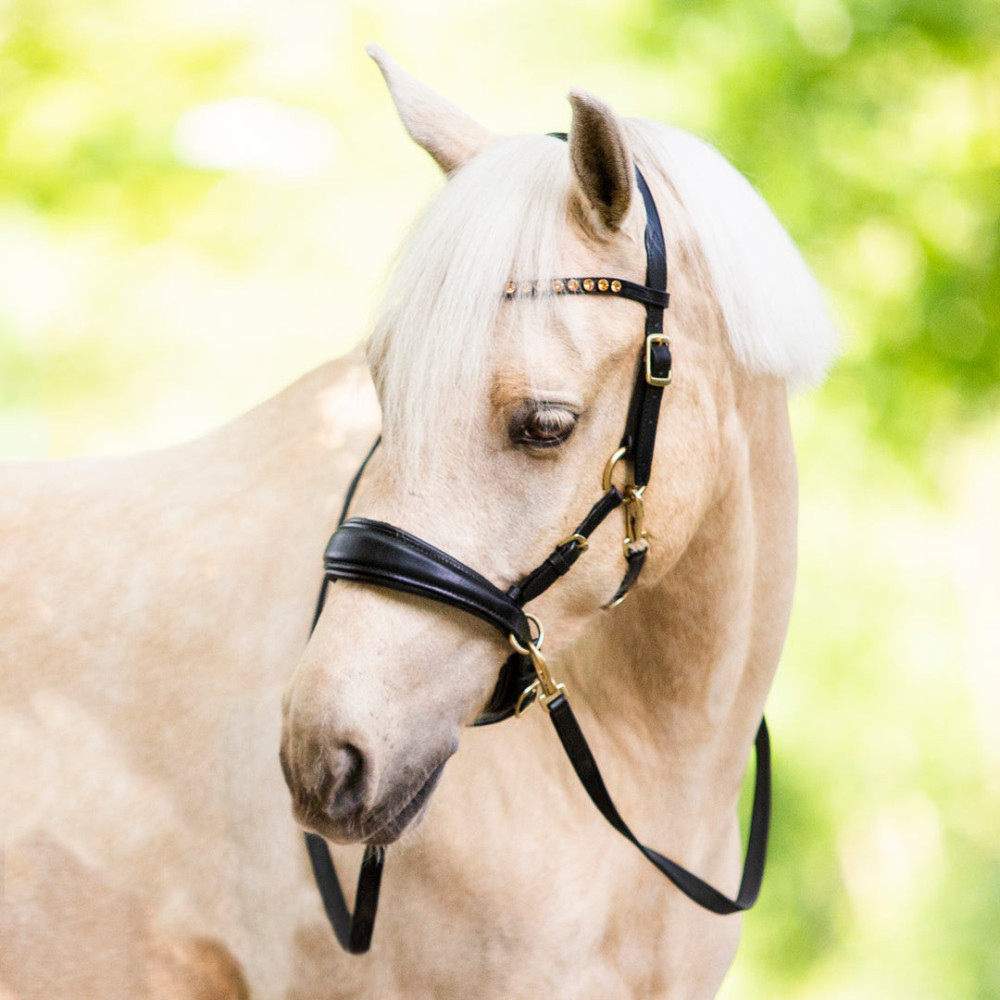 Ogłowie Bezwędzidłowe Sidepull LouLou Czarne FR Equestrian