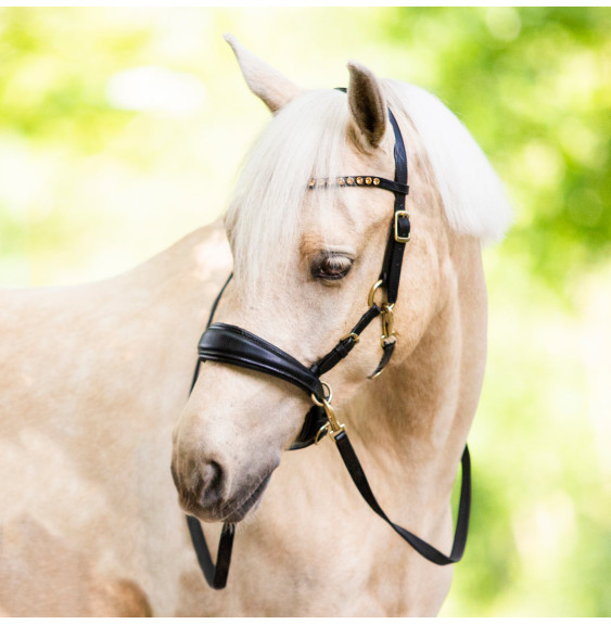 Ogłowie Bezwędzidłowe Sidepull LouLou Czarne FR Equestrian