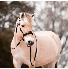 Ogłowie Bezwędzidłowe Coco FR Equestrian