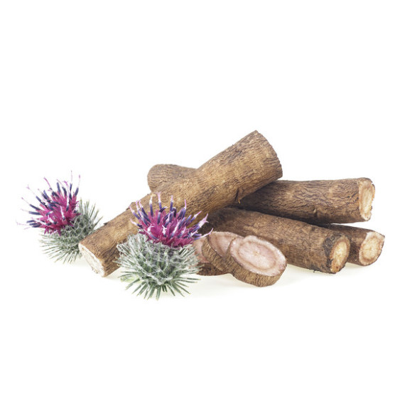 Łopian Korzeń Equiherbs