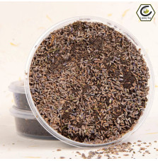 Lizawka Miodowo Ziołowa Lawenda Melisa Lipowy Gaj